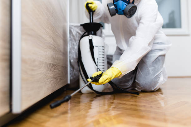 Best Residential Pest Control  in USA